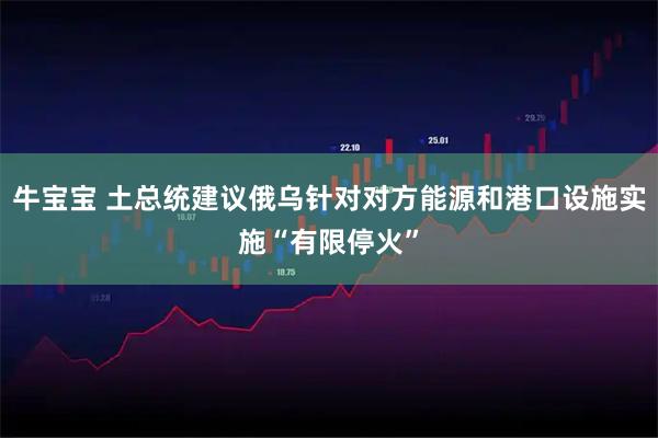 牛宝宝 土总统建议俄乌针对对方能源和港口设施实施“有限停火”