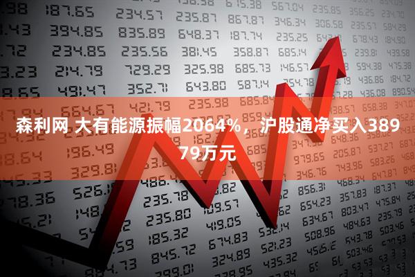 森利网 大有能源振幅2064%，沪股通净买入38979万元