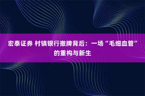 宏泰证券 村镇银行撤牌背后：一场“毛细血管”的重构与新生